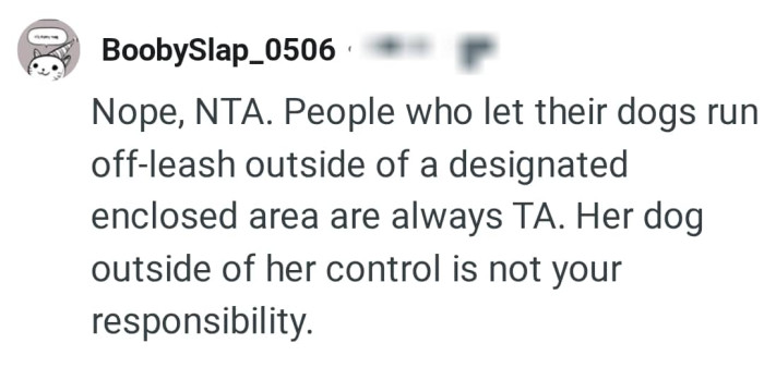 The dog outside the owner's control is not the OP's responsibility