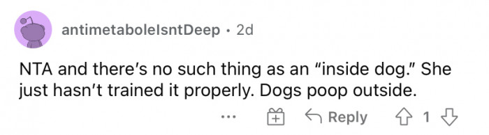 "There's no such thing as an inside dog."