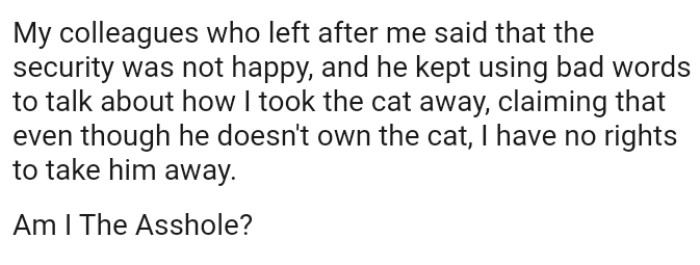 The security guard kept using inappropriate language to talk about how the OP took the cat away