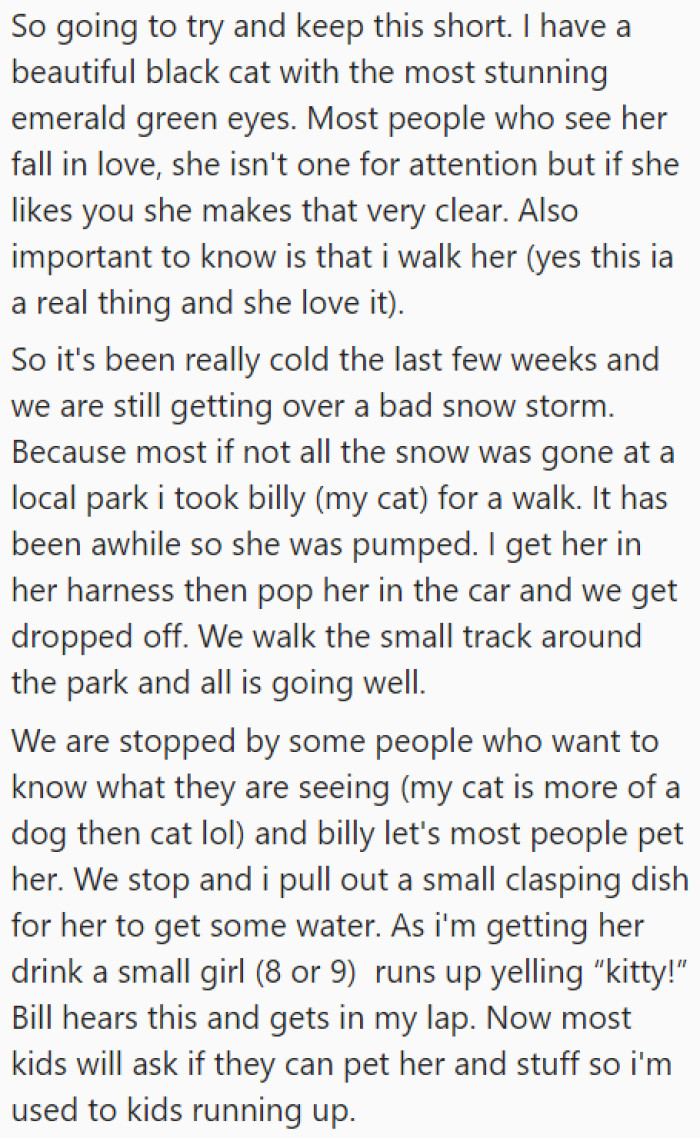 During the OP and her cat's outdoor walk, they met a friendly little girl.
