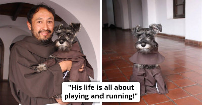 Monastery Adopts Stray Puppy, And Now He's Living His Best Life As A Friar