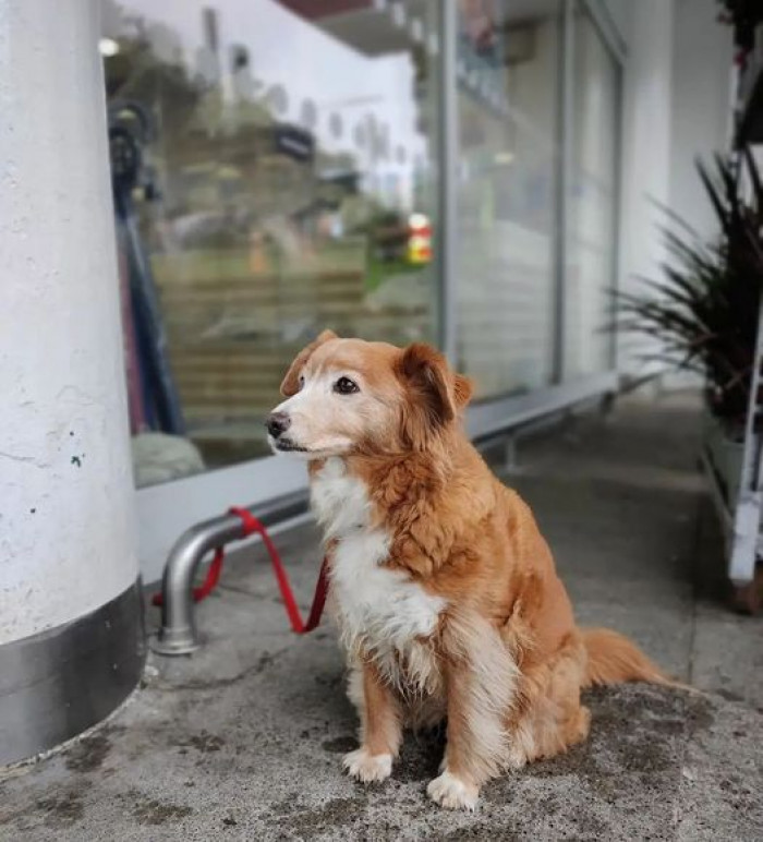 A face anyone could love.