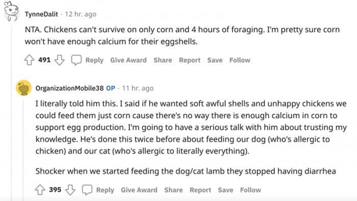 6. Soft eggshells do not make good eggs - it is basic poultry-keeping math.