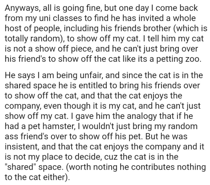 Since the Cat Is in the Shared Space, He Is Entitled to Bring His Friends Over to Show Off the OP's Cat