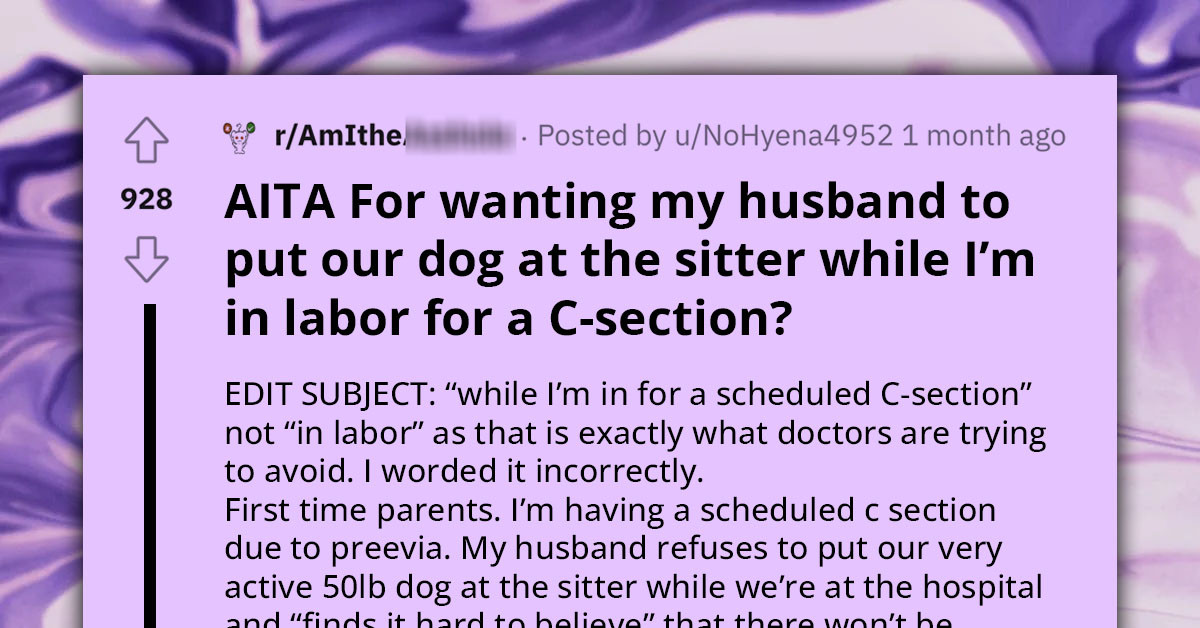 woman-requests-dog-boarding-during-her-c-section-prefers-husband-stays