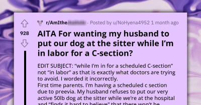 Woman Requests Dog Boarding During Her C-Section, Prefers Husband Stays With Her Instead Of Making Frequent Trips For Pet Care