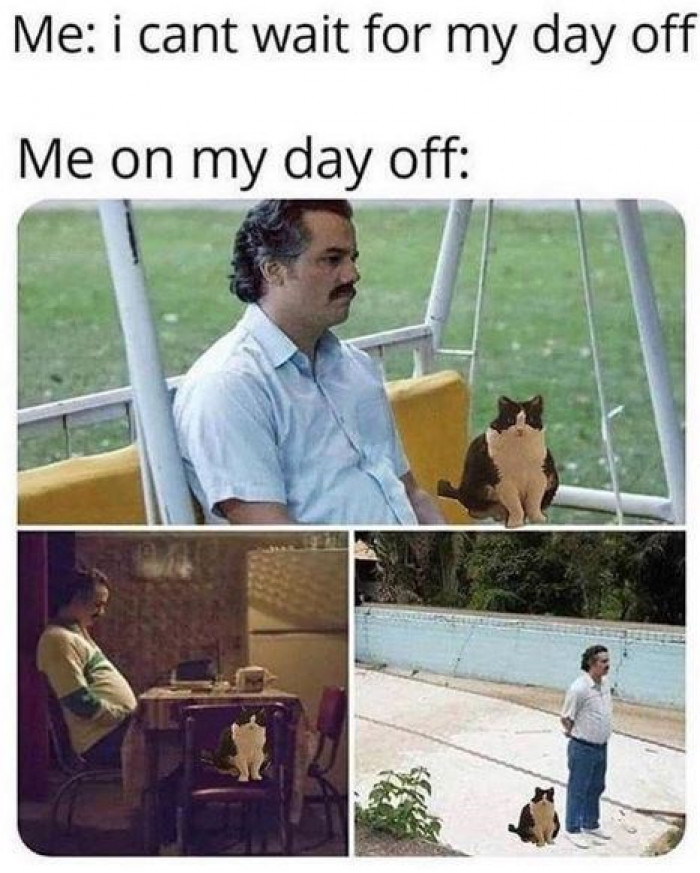 10. Spending some quality time with the cat.