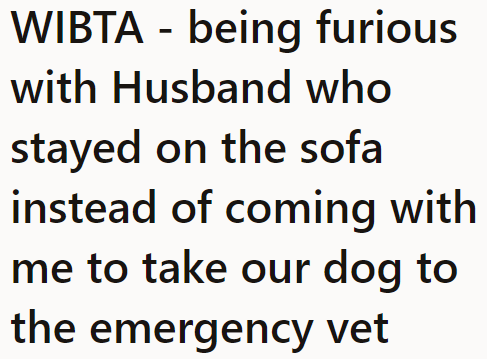 The OP was so angry at her husband for choosing to relax instead of accompanying her to take the dog to the emergency vet.