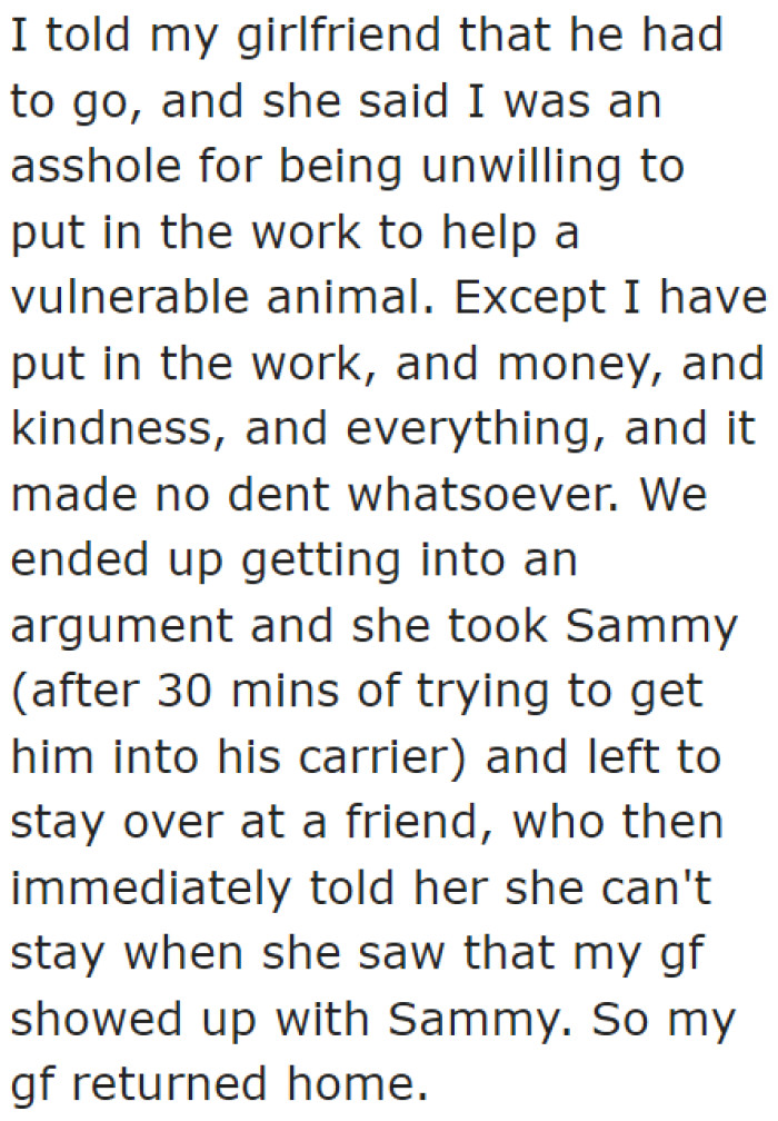 The OP has had it with the stress that the cat brought them. He decided that it needs to go.