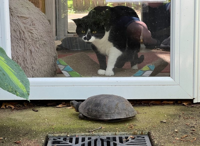 12. This picture of Hawkins being unsure of how to react around the turtle is priceless.