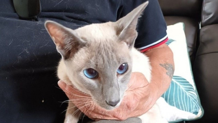 Ashley was found 280 miles away from home, six days after she had disappeared from her home