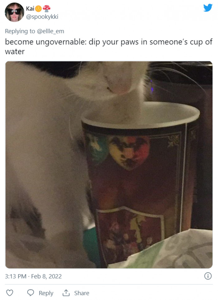 10. When in doubt, dip your paw in someone's cup.