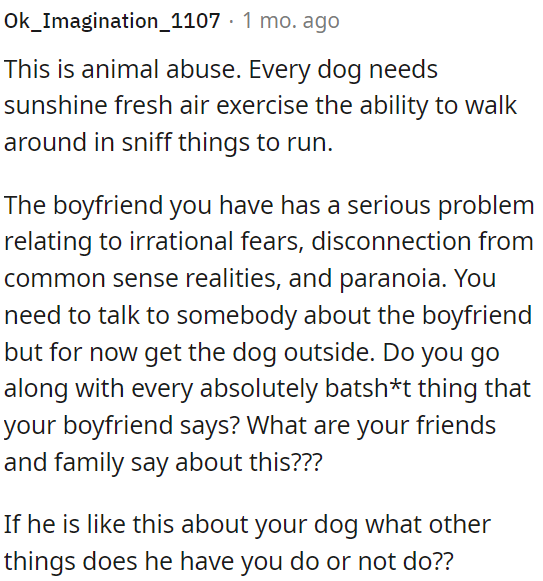 Every dog needs fresh air, sunlight, and exercise.