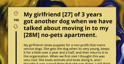 Boyfriend's Dream To Live With Girlfriend Dashed By Her Decision To Foster Another Puppy In No-Pets Apartment