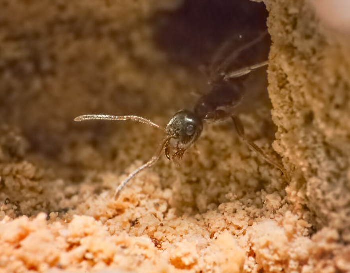 18. Peekaboo, because I definitely see you