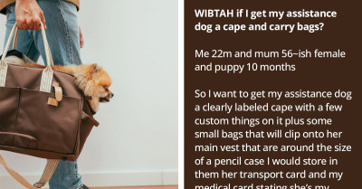 Redditor Wants To Clip Bags On His Assistance Dog's Cape; His Mom Says Extra Weight Is A Bad Idea