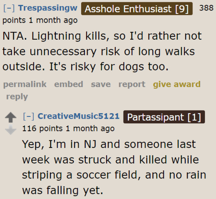Taking walks outside when a storm is approaching is both risky for the dog and the walker.