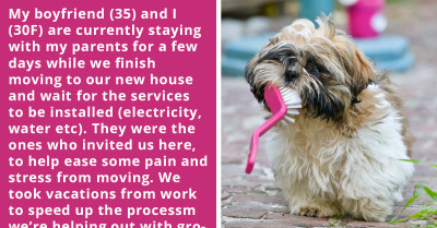 Daughter Yells at Dad After He Insisted That She Give the Dog a Bath While She's Clearly Busy and He's Doing Nothing