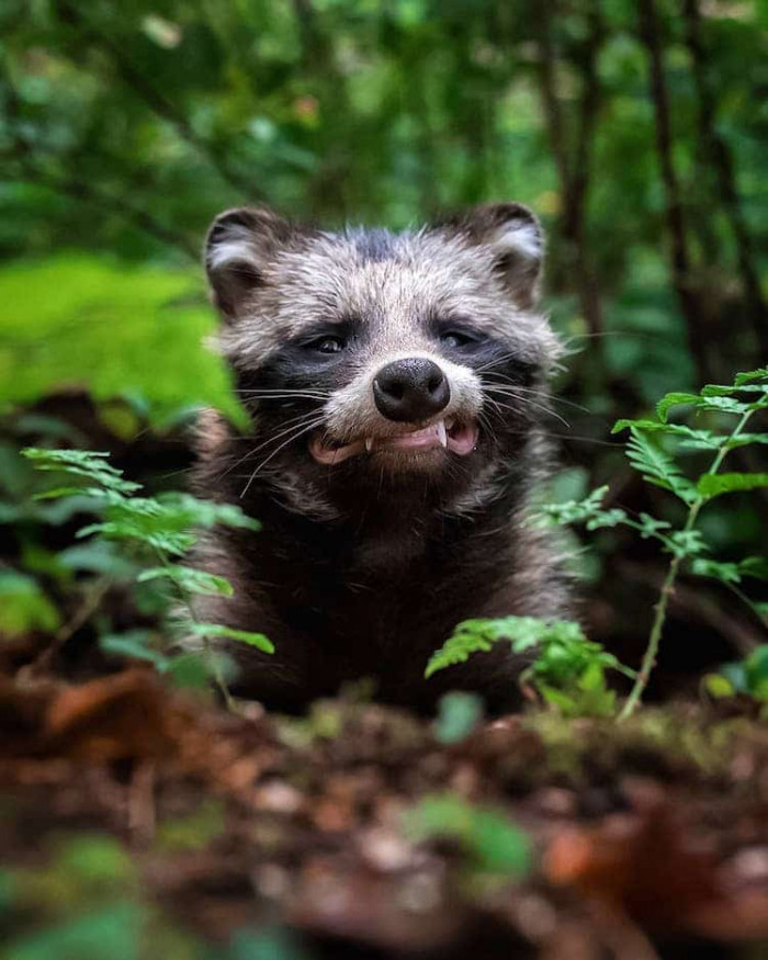 17. Come and get some...