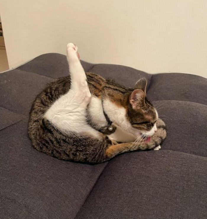 8. 