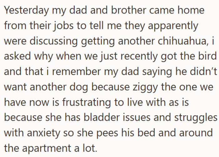 Living in a one-bedroom apartment with a father and brother, OP has ended up as the primary caretaker for two pets: a chihuahua named Ziggy and a cockatiel, despite neither being their own choice.