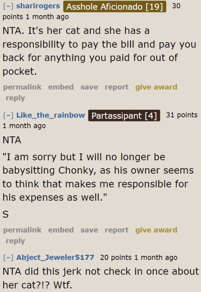 It is never a pet sitter's responsibility to pay for vet bills.