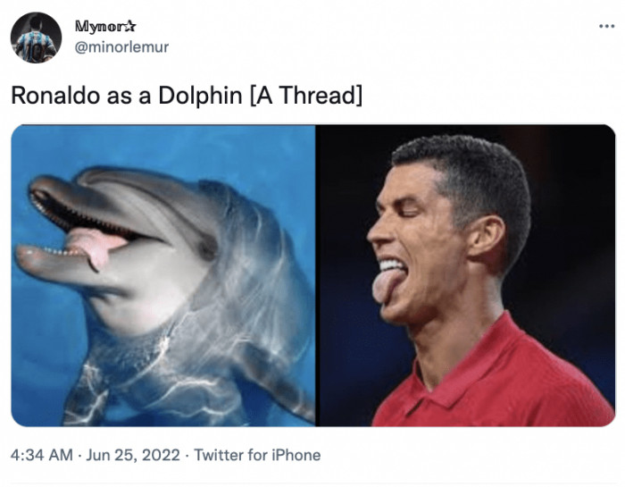 13. This is actually one that I could have gone without seeing, but thanks for blessing my timeline with it anyway.