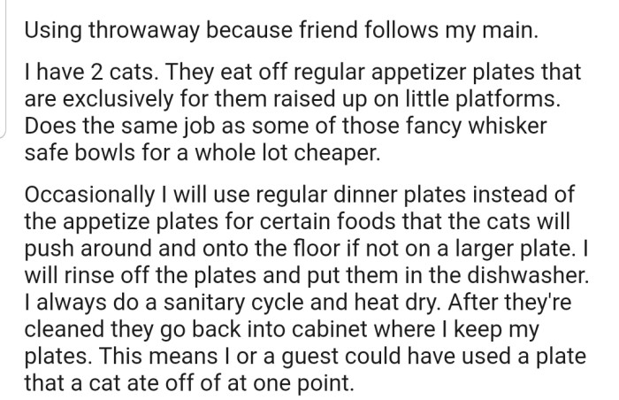 OP's cats eat off regular appetizer plates, rather than cat bowls
