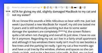 Redditor’s Sister Is Giving Them A Hard Time For Giving Their Banged-Up Old MacBook To Their Cat Instead Of Her