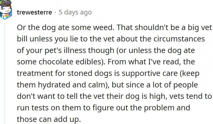 Maybe the dog ate some weed?