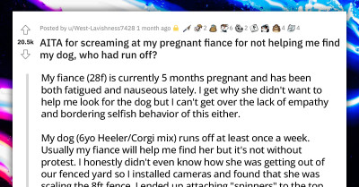 Dog Owner Calls His Pregnant GF Names And Says He Regrets Being With Her After She Refused To Help Him Find His Runaway Corgi