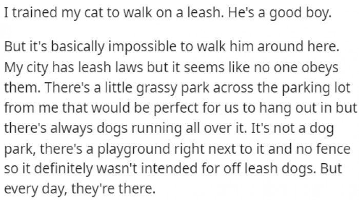 1. The good boy can't go for a walk with his lovely owner because of all the dogs walking around without a leash.