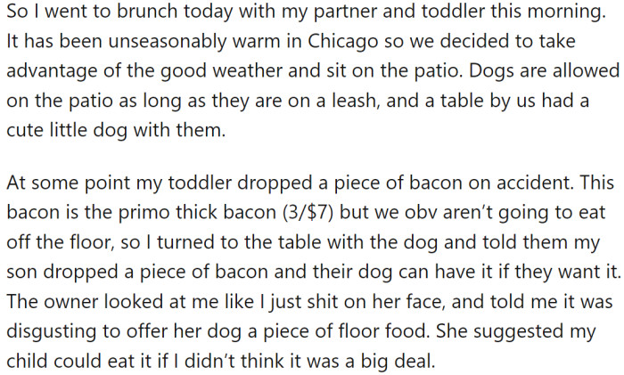 OP went to brunch with their partner and toddler on a warm day in Chicago. During the meal, OP's toddler accidentally dropped a piece of bacon, which was thick and premium (3/$7).