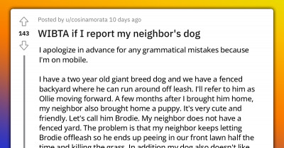 Woman Wants to Report Neighbor's Dog for Upsetting Her Dog and Destroying Her Lawn