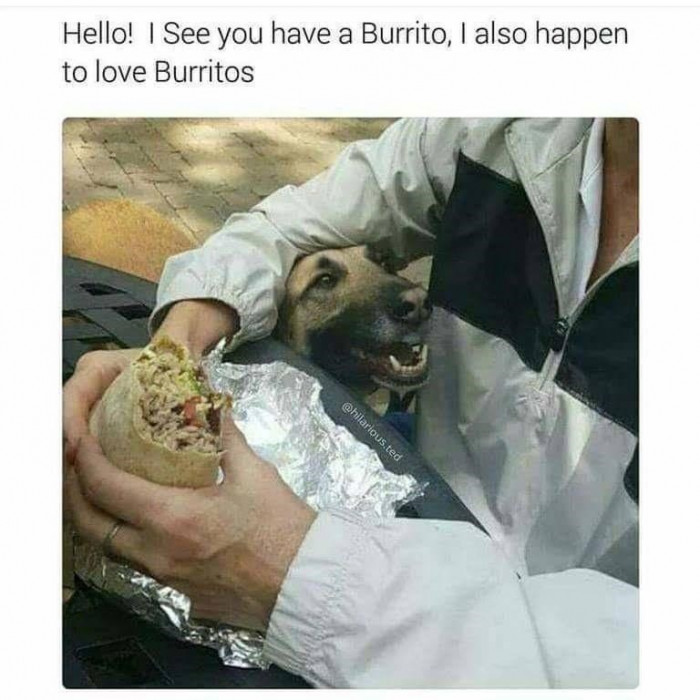 12. Can you share your burrito with me?