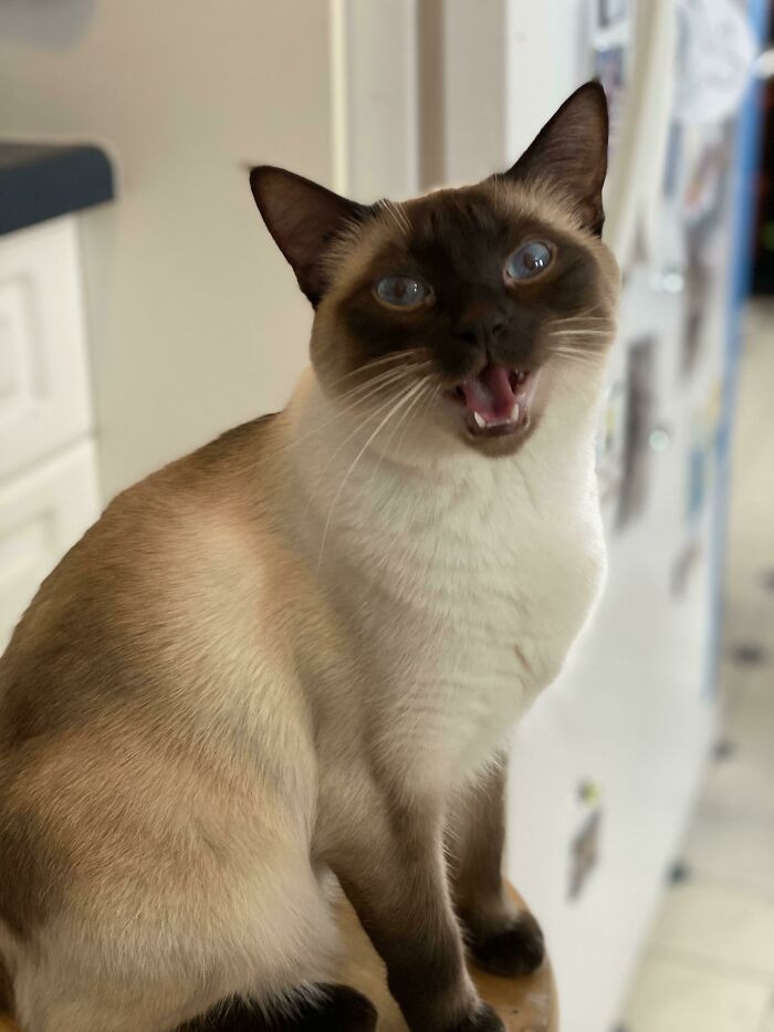 10. There's a blizzard outside so everyone's home