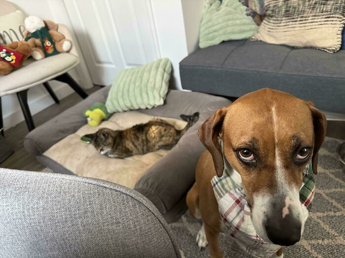 "At Least She’s Comfy"