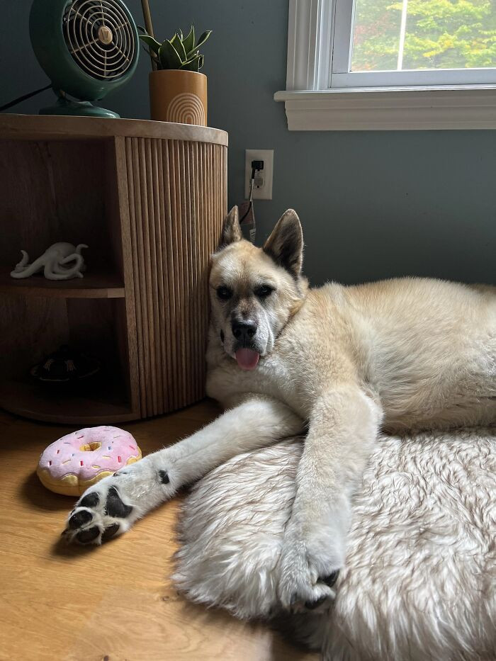 "So Comfortable"
