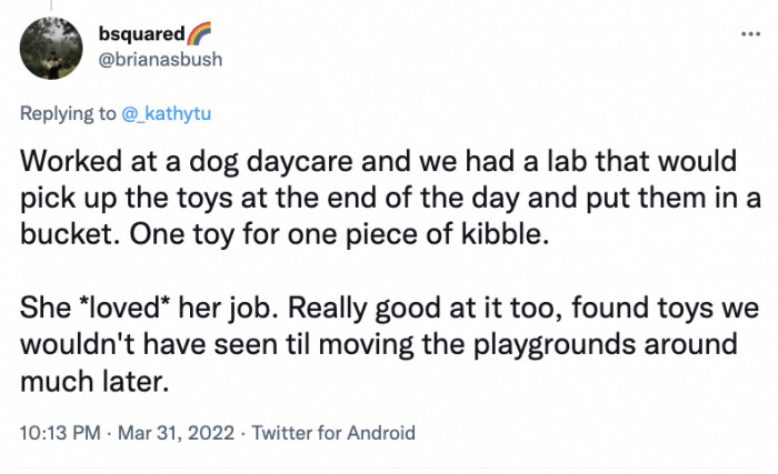 One Toy for One Piece of Kibble