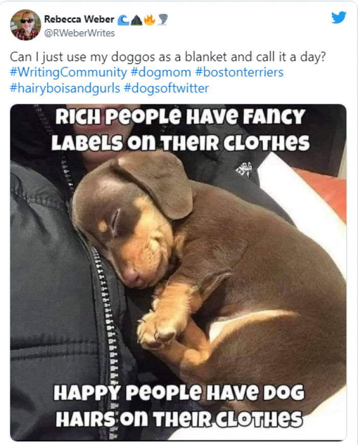 8. When you start loving cat hair, then you know that your dog is your BFF