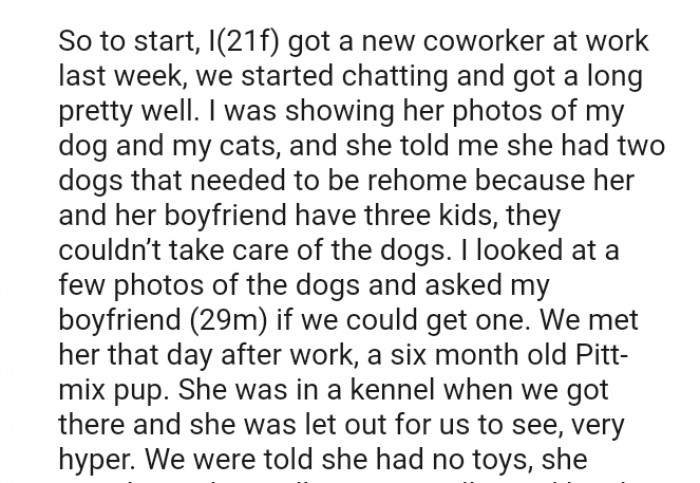 The OP got a new coworker whom she gets along with