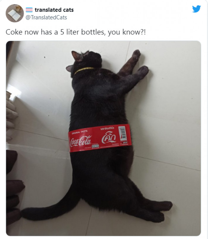 19. Y'all need to get one ASAP.