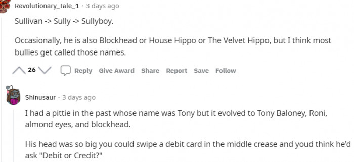 13. This dog's original name is Sullivan, now Sullyboy