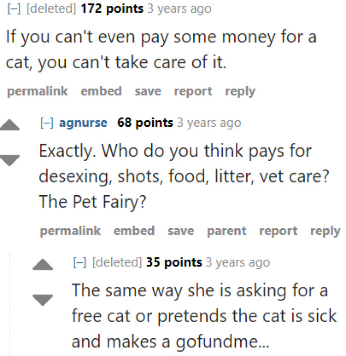 People who can't pay for a cat shouldn't be asking for one for free — even if they're experienced.