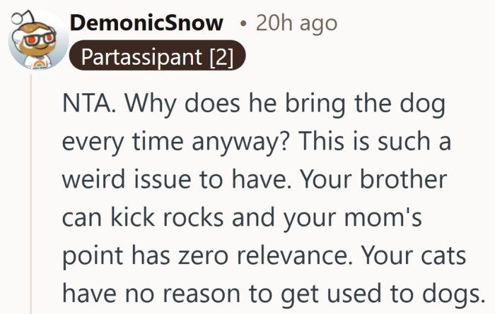 There is something telling about how her home keeps getting treated like a shared space.