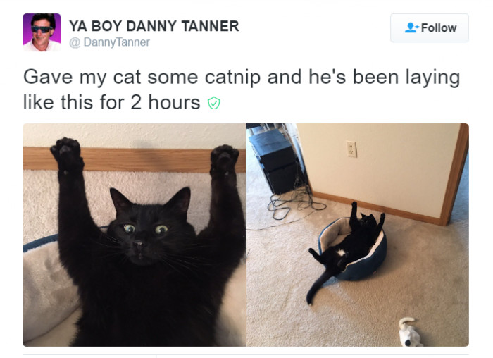 14. Chilling. Vibing. Can't even think about leaving his lane