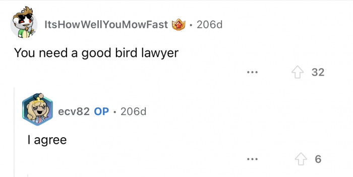Here's how the Reddit community reacted to u/ecv82's post: