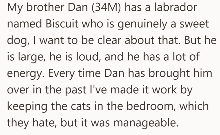 The dog means well, but his energy already puts her cats on edge every visit.