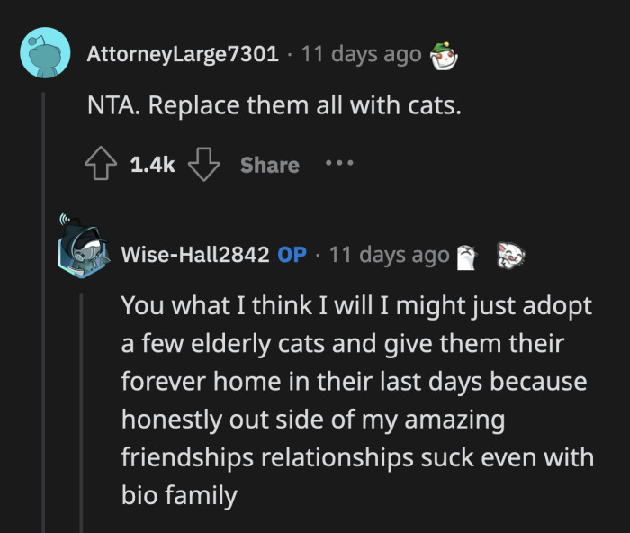 OP Can Finally Start an Elderly Cat Sanctuary Now That She Has More Space in Her House