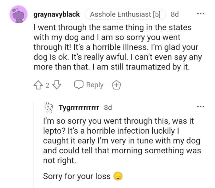 This Redditor cannot say any more than this